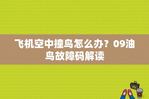 飞机空中撞鸟怎么办？09油鸟故障码解读-图1