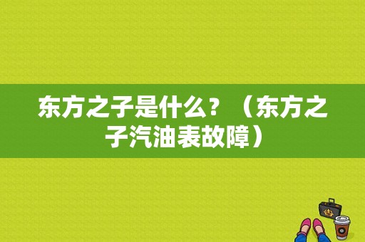 东方之子是什么？（东方之子汽油表故障）-图1