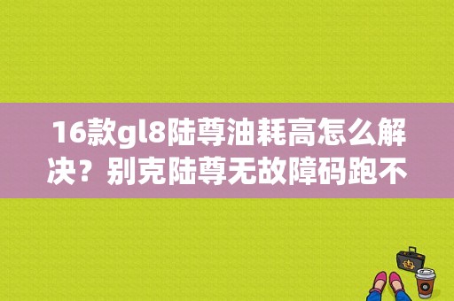 16款gl8陆尊油耗高怎么解决？别克陆尊无故障码跑不起来论坛-图1