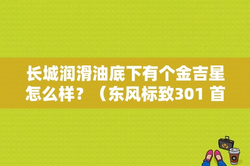 长城润滑油底下有个金吉星怎么样？（东风标致301 首保）