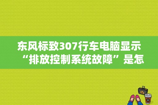 东风标致307行车电脑显示“排放控制系统故障”是怎么回事？（标致307老是报排放故障）-图1