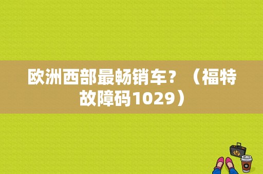欧洲西部最畅销车？（福特故障码1029）-图1