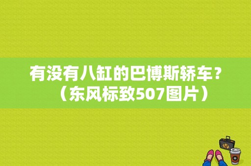 有没有八缸的巴博斯轿车？（东风标致507图片）-图1
