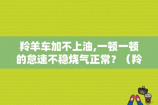 羚羊车加不上油,一顿一顿的怠速不稳烧气正常？（羚羊喷油嘴故障）-图1