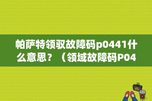 帕萨特领驭故障码p0441什么意思？（领域故障码P0441）-图1