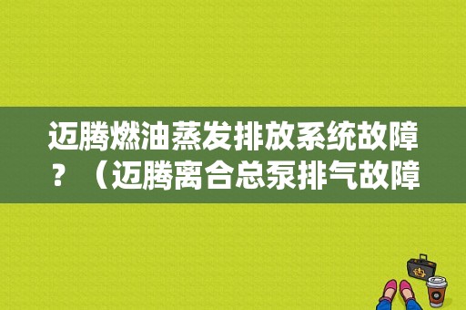 迈腾燃油蒸发排放系统故障？（迈腾离合总泵排气故障）-图1