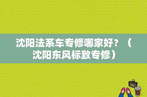 沈阳法系车专修哪家好？（沈阳东风标致专修）-图1