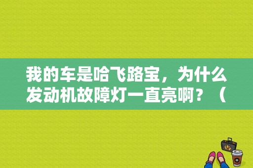 我的车是哈飞路宝，为什么发动机故障灯一直亮啊？（哈飞故障灯图解）-图1