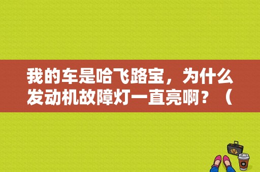 我的车是哈飞路宝，为什么发动机故障灯一直亮啊？（哈飞路宝故障灯一直闪）-图1