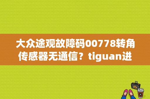 大众途观故障码00778转角传感器无通信？tiguan进口 故障-图1