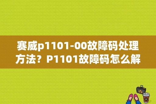赛威p1101-00故障码处理方法？P1101故障码怎么解决