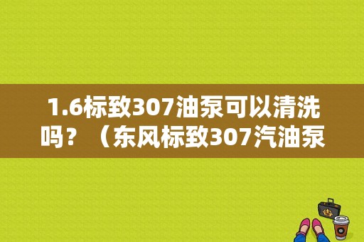 1.6标致307油泵可以清洗吗？（东风标致307汽油泵价格）-图1