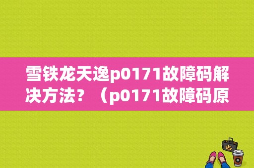雪铁龙天逸p0171故障码解决方法？（p0171故障码原因）-图1