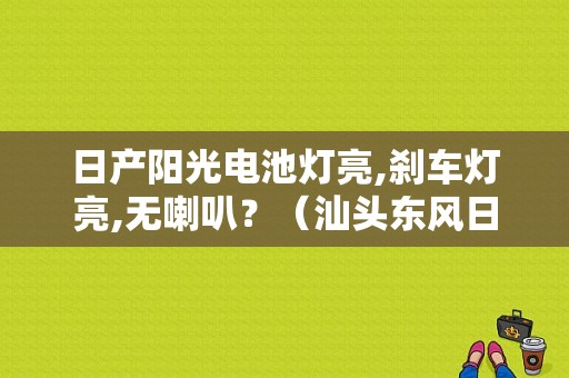 日产阳光电池灯亮,刹车灯亮,无喇叭？（汕头东风日产阳光）-图1