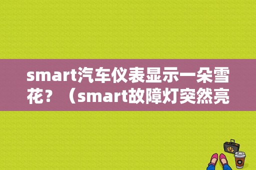 smart汽车仪表显示一朵雪花？（smart故障灯突然亮了）-图1