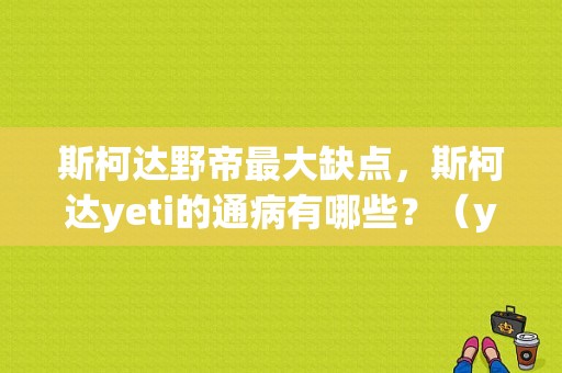 斯柯达野帝最大缺点，斯柯达yeti的通病有哪些？（yeti故障）-图1