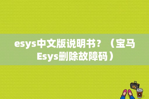 esys中文版说明书？（宝马Esys删除故障码）-图1