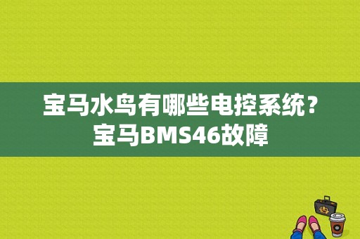 宝马水鸟有哪些电控系统？宝马BMS46故障-图1