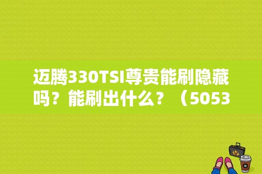 迈腾330TSI尊贵能刷隐藏吗？能刷出什么？（5053 间歇故障）-图1