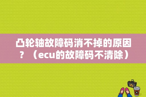 凸轮轴故障码消不掉的原因？（ecu的故障码不清除）-图1