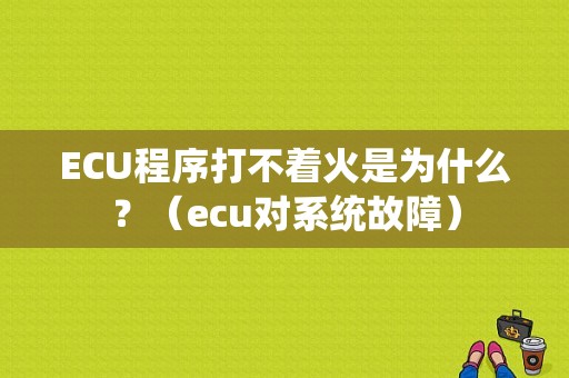 ECU程序打不着火是为什么？（ecu对系统故障）-图1
