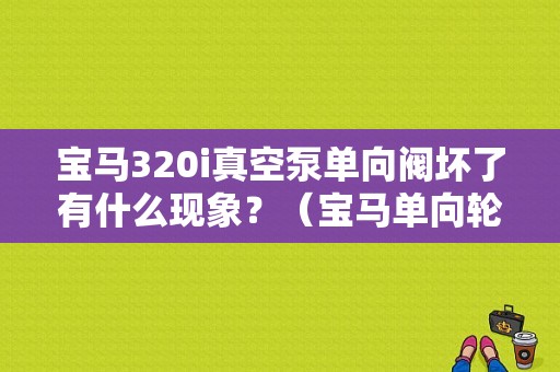 宝马320i真空泵单向阀坏了有什么现象？（宝马单向轮故障）-图1