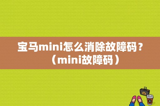 宝马mini怎么消除故障码？（mini故障码）-图1