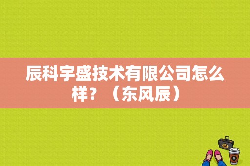 辰科宇盛技术有限公司怎么样？（东风辰）-图1