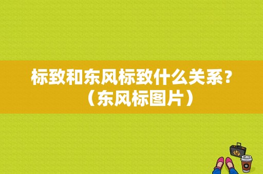 标致和东风标致什么关系？（东风标图片）-图1