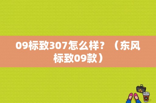 09标致307怎么样？（东风标致09款）-图1
