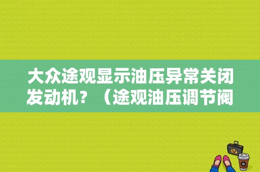 大众途观显示油压异常关闭发动机？（途观油压调节阀故障码）-图1