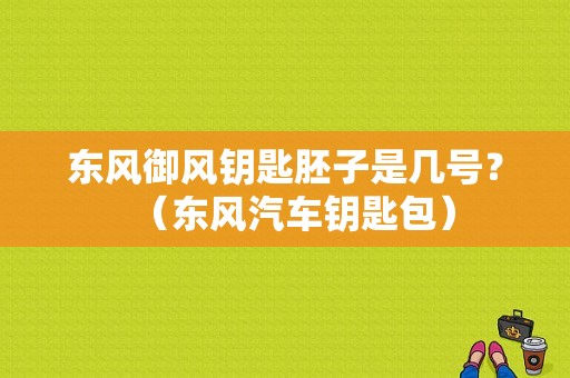 东风御风钥匙胚子是几号？（东风汽车钥匙包）-图1