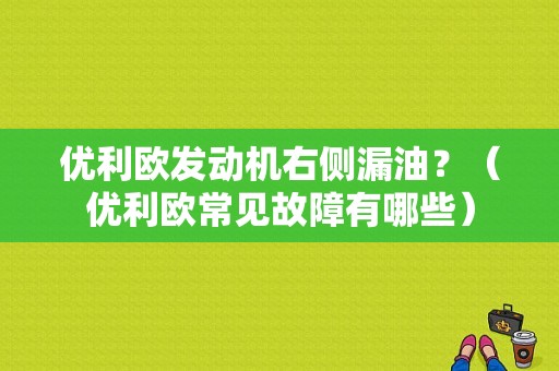 优利欧发动机右侧漏油？（优利欧常见故障有哪些）-图1