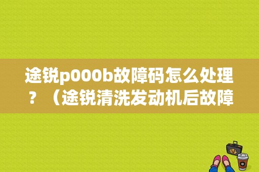 途锐p000b故障码怎么处理？（途锐清洗发动机后故障）-图1