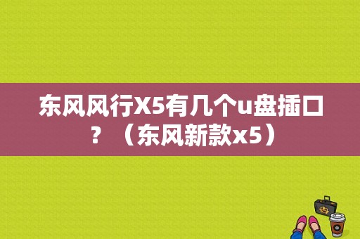 东风风行X5有几个u盘插口？（东风新款x5）-图1