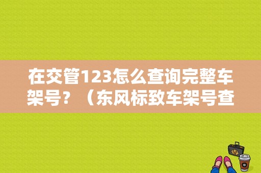 在交管123怎么查询完整车架号？（东风标致车架号查询）-图1