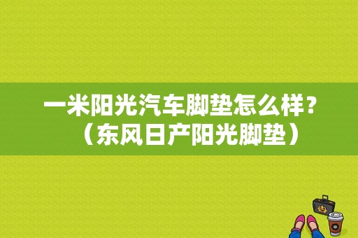 一米阳光汽车脚垫怎么样？（东风日产阳光脚垫）-图1