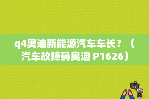 q4奥迪新能源汽车车长？（汽车故障码奥迪 P1626）-图1
