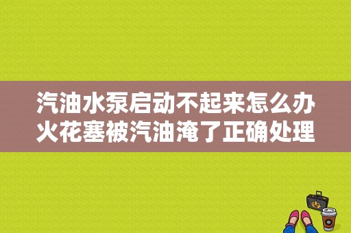 汽油水泵启动不起来怎么办火花塞被汽油淹了正确处理方法？汽油泵故障修复-图1