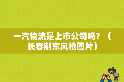 一汽物流是上市公司吗？（长春制东风枪图片）-图1
