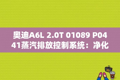 奥迪A6L 2.0T 01089 P0441蒸汽排放控制系统：净化流量不正确？（燃油箱通风系统有故障）-图1