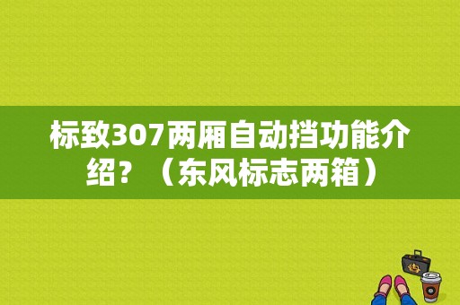标致307两厢自动挡功能介绍？（东风标志两箱）-图1