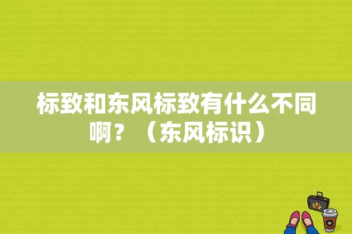 标致和东风标致有什么不同啊？（东风标识）-图1