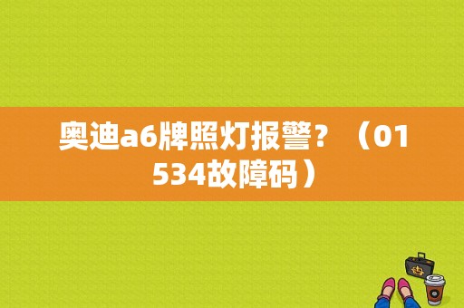 奥迪a6牌照灯报警？（01534故障码）-图1