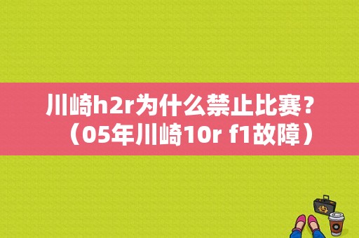 川崎h2r为什么禁止比赛？（05年川崎10r f1故障）-图1
