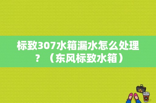 标致307水箱漏水怎么处理？（东风标致水箱）-图1