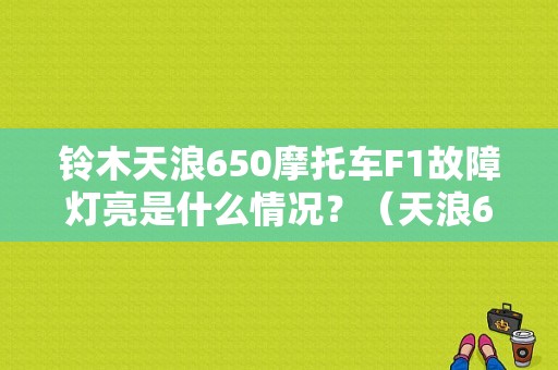 铃木天浪650摩托车F1故障灯亮是什么情况？（天浪650 故障）-图1