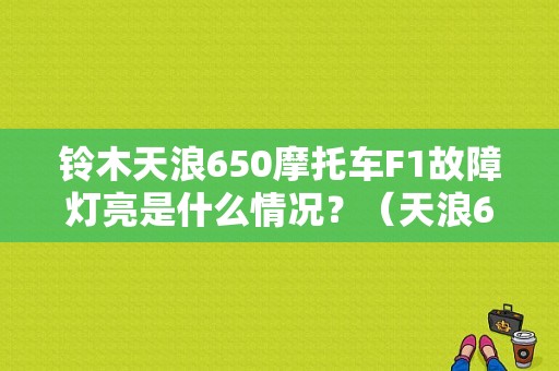 铃木天浪650摩托车F1故障灯亮是什么情况？（天浪650查故障）-图1
