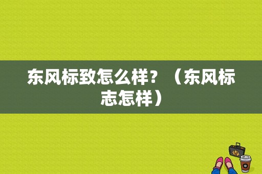 东风标致怎么样？（东风标志怎样）-图1