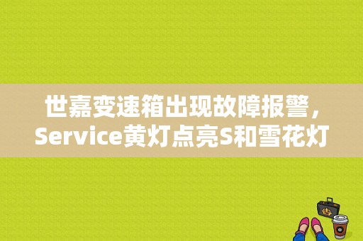世嘉变速箱出现故障报警，Service黄灯点亮S和雪花灯交替闪烁，变速箱不换挡，怎么办？（变速器故障灯的图标）-图1